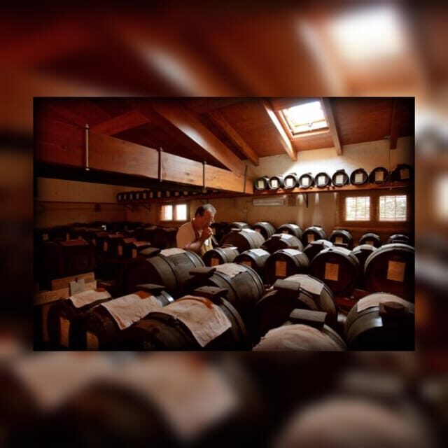 Modena:Tour&Taste of Bio & Traditional Balsamic Vinegar DOP - An In-Depth Look at the Tour Experience