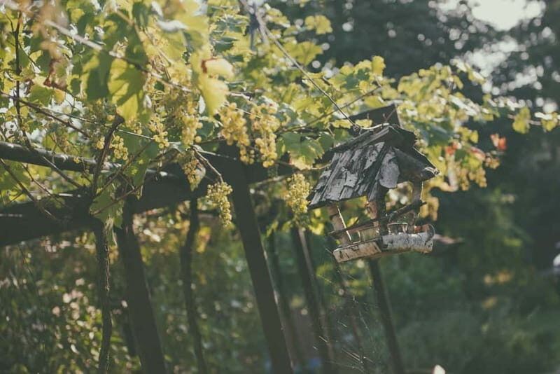 Modra: Private Wine Tasting at a Family-Operated Winery - Who Would Love This Experience?