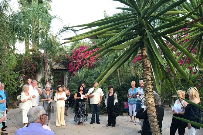 Mods & Icons Tour of Palm Springs - Indian Canyons - Stories and Natural Beauty