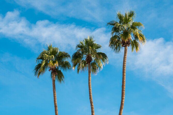 Mods & Icons Tour of Palm Springs - Transportation and Accessibility