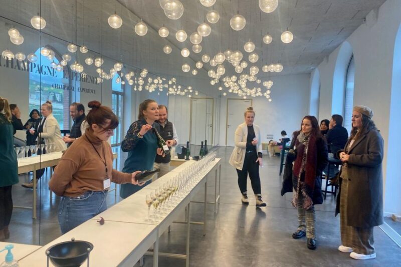 Moet et Chandon Pommery Pressoria Champagne Private trip - Who Is This Tour Best For?