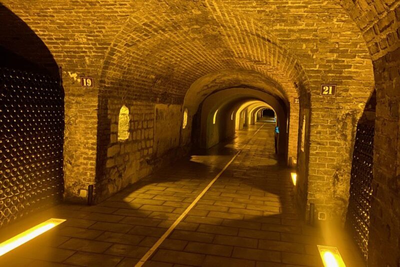 Moet et Chandon Pommery Pressoria Champagne Private trip - The Sum Up