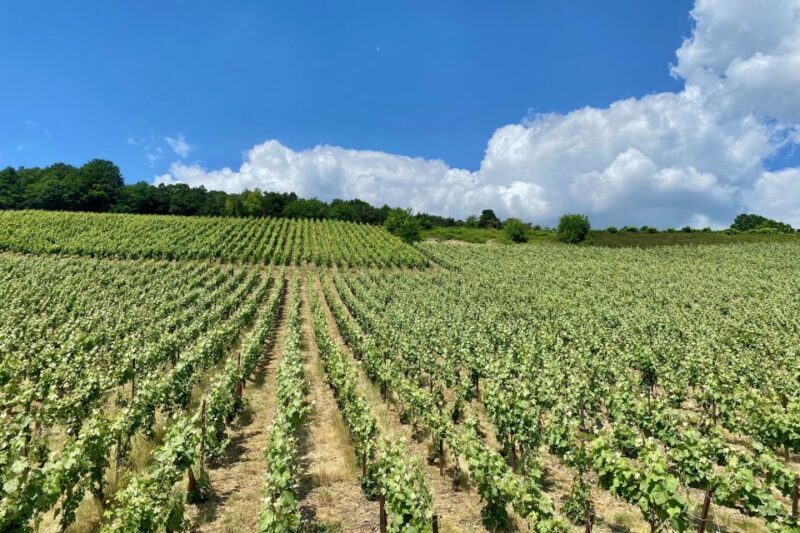 Moet et Chandon Pommery Pressoria Champagne Private trip - FAQ