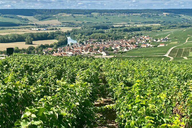 Moet et Chandon Pommery Pressoria Champagne Private trip - The Transport and Group Experience