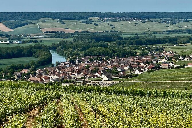 Moet et Chandon Taittigner Private Champagne Day trip from Paris - An In-Depth Look at the Experience