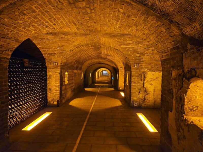 Moet et Chandon Tasting and Fun Private Tour in Champagne - Final Thoughts: Who Will Love This Tour?