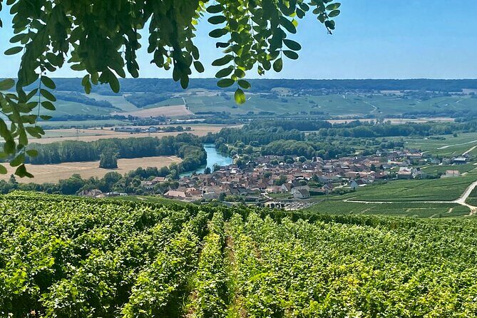 Moet et Chandon Veuve Clicquot Private Champagne trip from Paris - Who Would Enjoy This Tour?