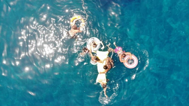 Mogan: Dolphin Watching Boat Trip with Swim Stop - Key Points