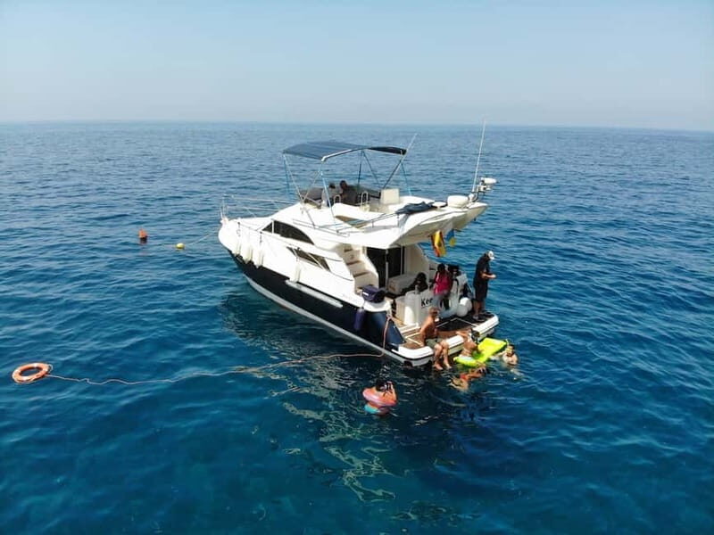 Mogan: Dolphin Watching Boat Trip with Swim Stop - Authentic Feedback from Other Travelers