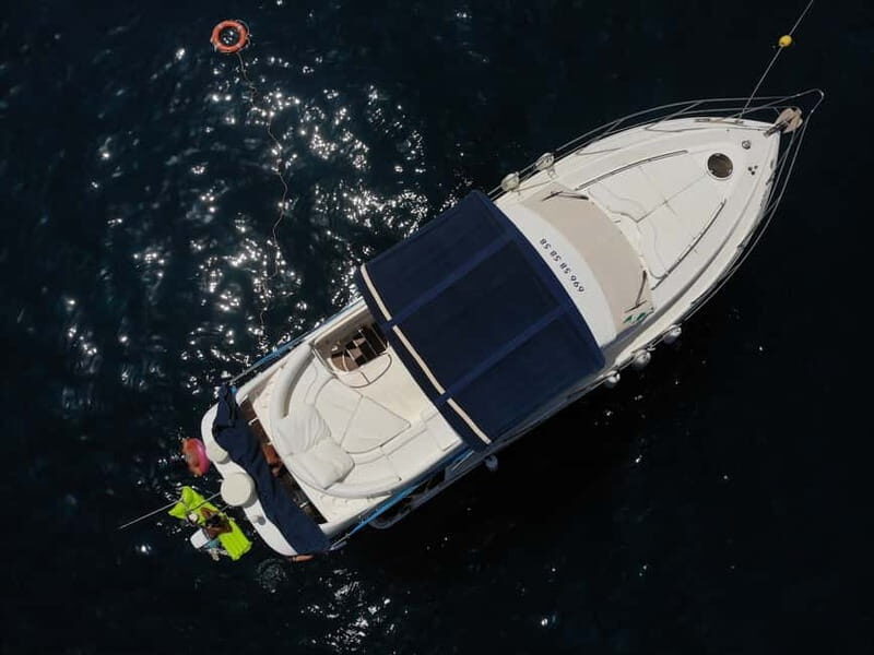 Mogan: Dolphin Watching Boat Trip with Swim Stop - FAQ