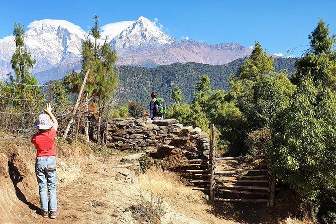 Mohare Danda Trek - Authentic Insights from Reviewers