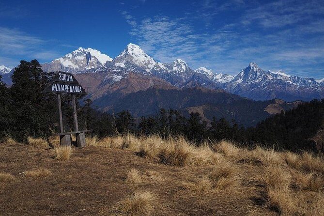 Mohare Hill Private Guided Trek - Key Points