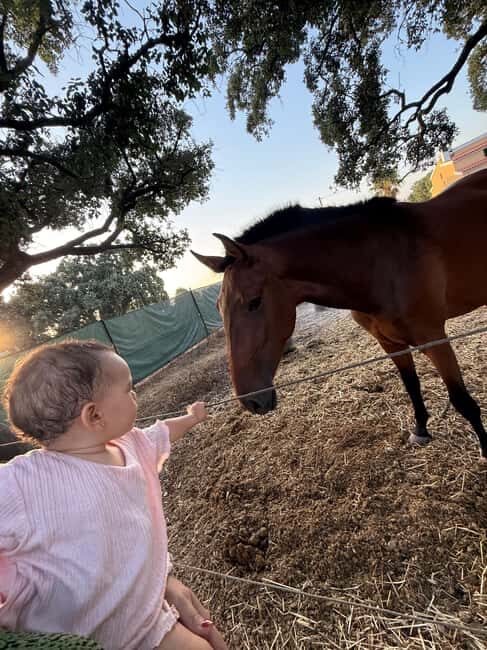 Moita: Amazing Full-Day Tour with Horseback Riding on the Beach - Why This Tour Works