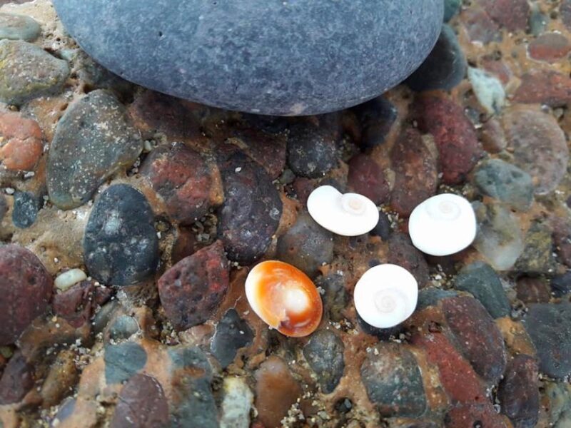 Moitié Terre, Moitié Mer - Practical Details & Tips