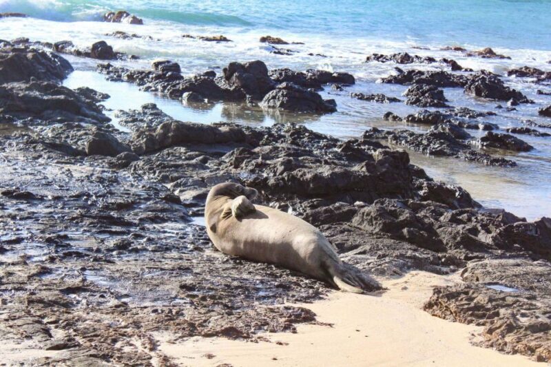 Mokulua Islands Self-Guided Kayak Adventure - Final Thoughts