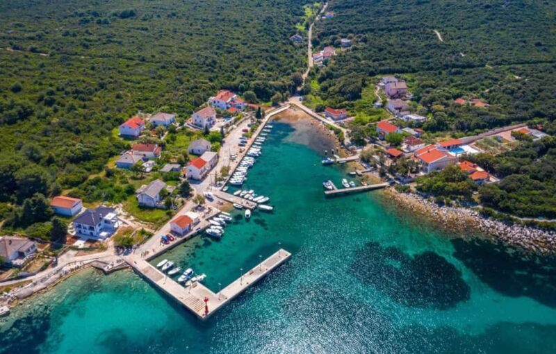 Molat Island Dolphin Watching Boat Tour 6hours TOUR - The Sum Up