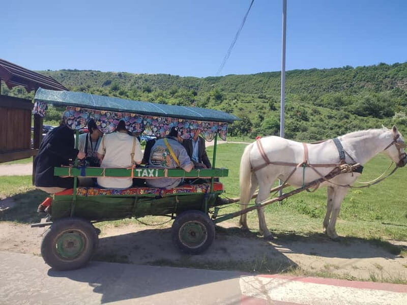 Moldova:Old Orhei Archeological Complex unique cave&Curchi - Who Would Love This Tour?