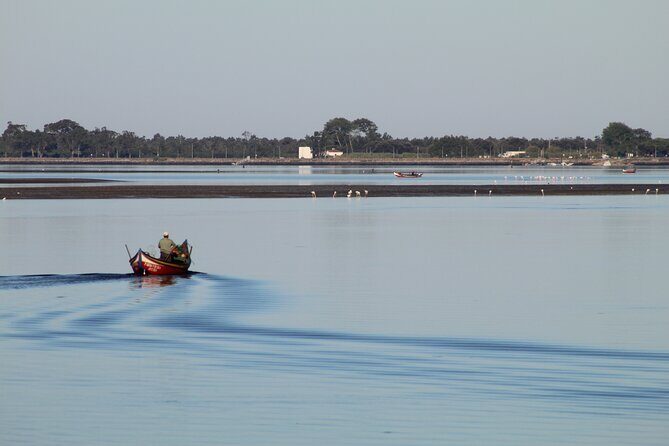 Moliceiro boat trip, with experience in bivalves harvesting - Exploring the Unique Experience of the Moliceiro Boat Trip in Aveiro