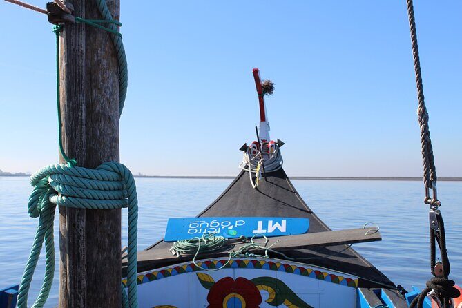 Moliceiro boat trip, with experience in bivalves harvesting - Discovering the Ria de Aveiro on a Moliceiro Boat