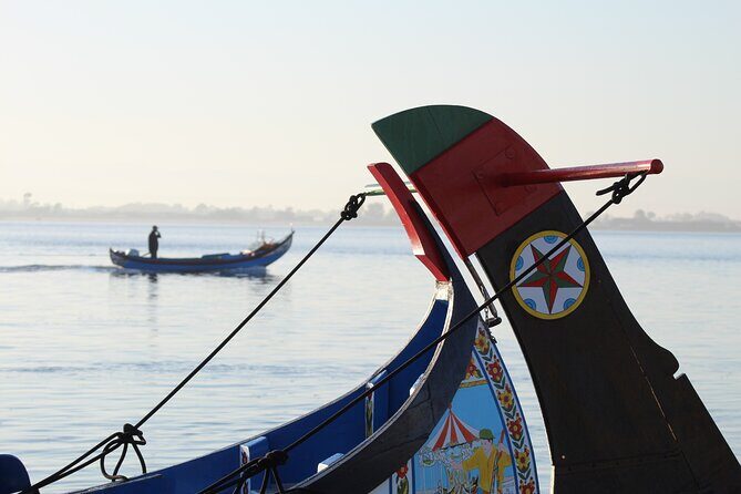 Moliceiro boat trip, with experience in bivalves harvesting - The Guides: Knowledgeable, Friendly, Multilingual