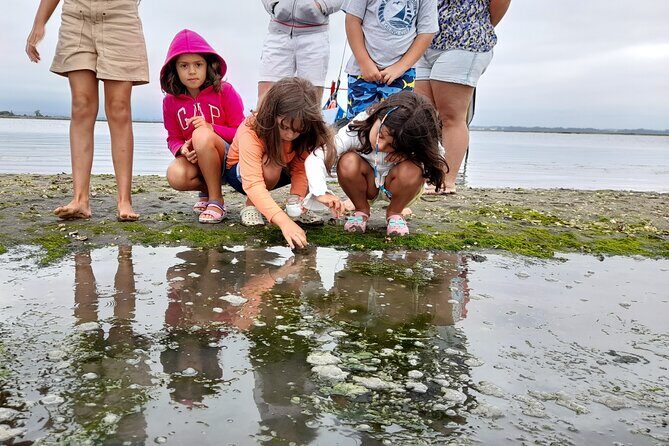 Moliceiro boat trip, with experience in bivalves harvesting - Why Choose This Tour?