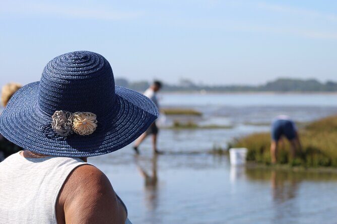 Moliceiro boat trip, with experience in bivalves harvesting - The Sum Up: Who Will Love This Experience?
