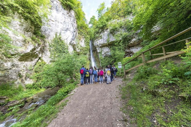 Molina Waterfall Park: tour and optional aperitif - An In-Depth Look at Molina Waterfall Park Experience