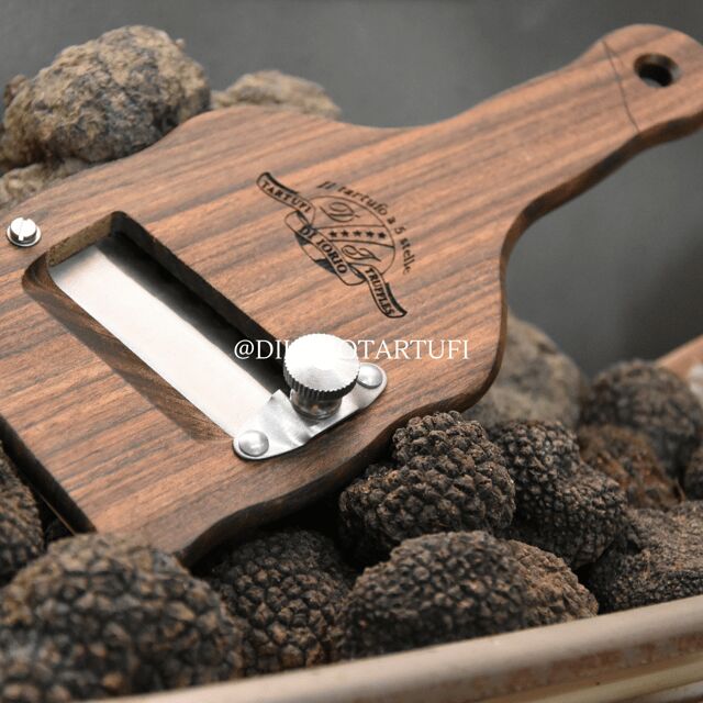 MOLISE TRUFFLE HUNTING WITH FOOD TASTING - Discover the Magic of Truffle Hunting in Molise