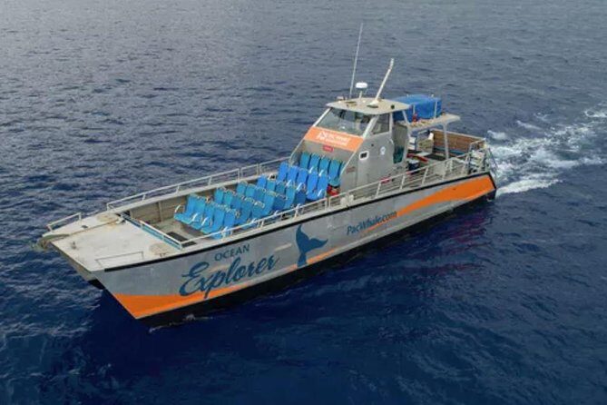 Molokini & Turtle Adventure: Small Group from Ma'alaea Harbor - The Experience in Detail