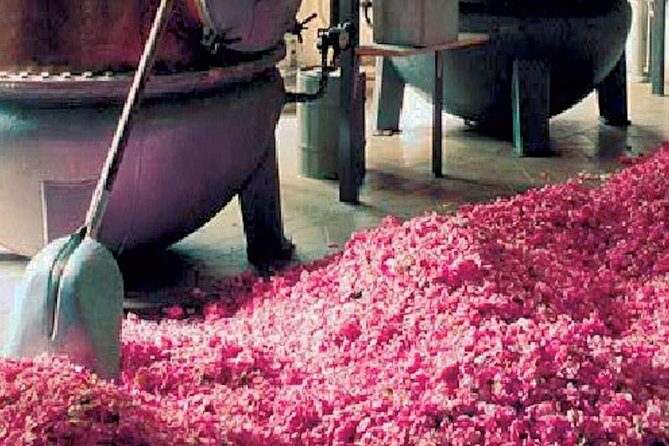 Monaco and Perched Medieval Villages - private & Guided Tour - Practical Details: Comfort, Value, and Logistics