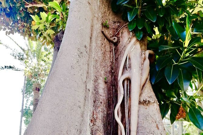 Monaco & Monte-Carlo: Classics & Hidden Gems - Walking & Boat - Authentic Insights from Reviews