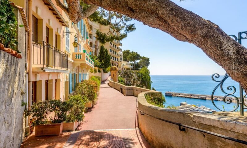 Monaco-Monte carlo-Eze - Analyzing the Value