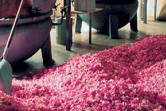 Monaco & Perched Medieval Villages Shared & Guided Tour from Nice - How the Tour Works: Practical Insights