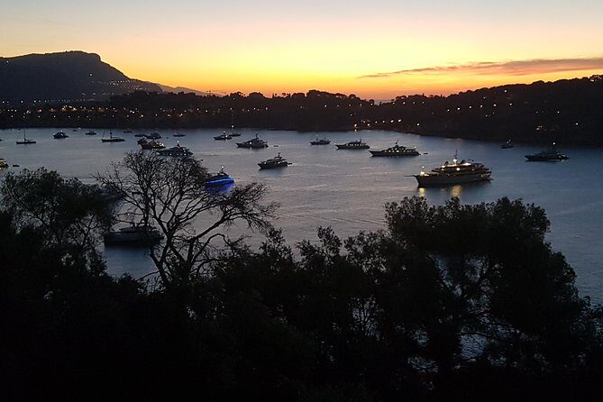 MONACO Shore Excursion : Private Tour French Riviera Highlights - An In-Depth Look at the Tour Experience