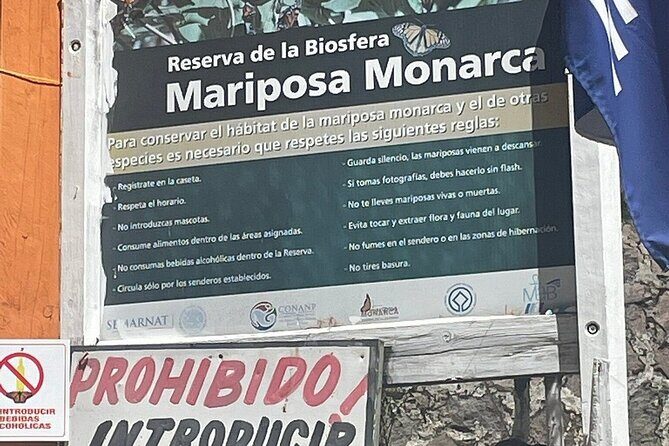 Monarch Butterflies Experience - Final Thoughts