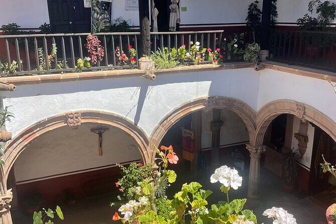 Monarch Butterflies Experience - FAQ