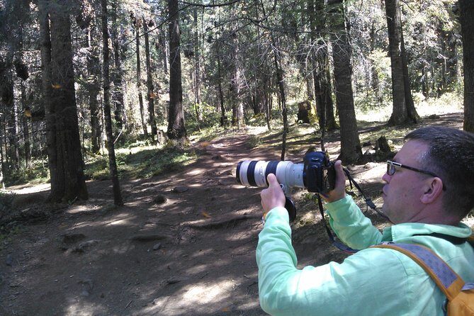 Monarch Butterfly group tour. Join me to watch #butterflies - The Sum Up: Who Will Love This Tour?