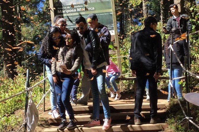 Monarch Butterfly Private Tour (Morelia) - Valuing the Price: Is It Worth It?