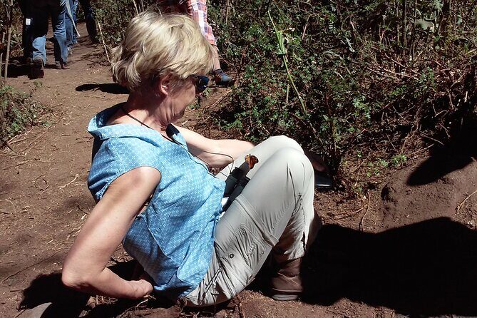 Monarch Butterfly Private Tour (Morelia) - Authentic, Personalized Experiences That Matter