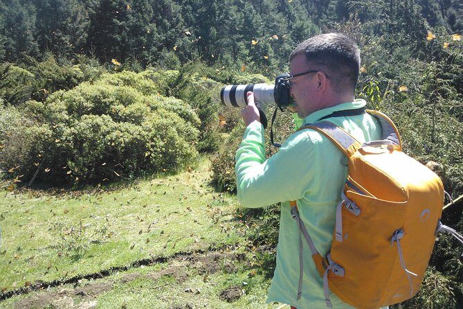 Monarch Butterfly Private Tour (Morelia) - Who Will Love This Tour?