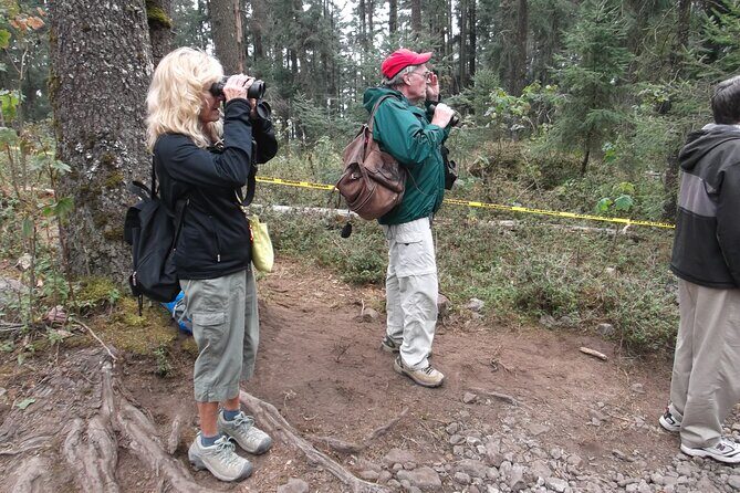 Monarch Butterfly Private Tour (Morelia) - FAQs