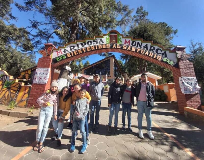 Monarch Butterfly - Key Points