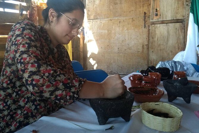 Monarch Butterfly Tour from Mexico City - Final thoughts