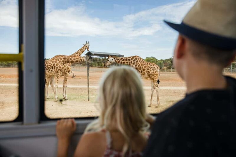 Monarto Safari Park: General Admission Tickets - Key Points