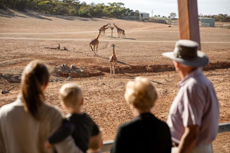 Monarto Safari Park: General Admission Tickets - Why Monarto Safari Park Is Worth Visiting