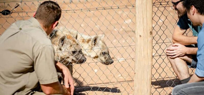 Monarto Safari Park: Keeper for a Day - Is This Experience Worth It?