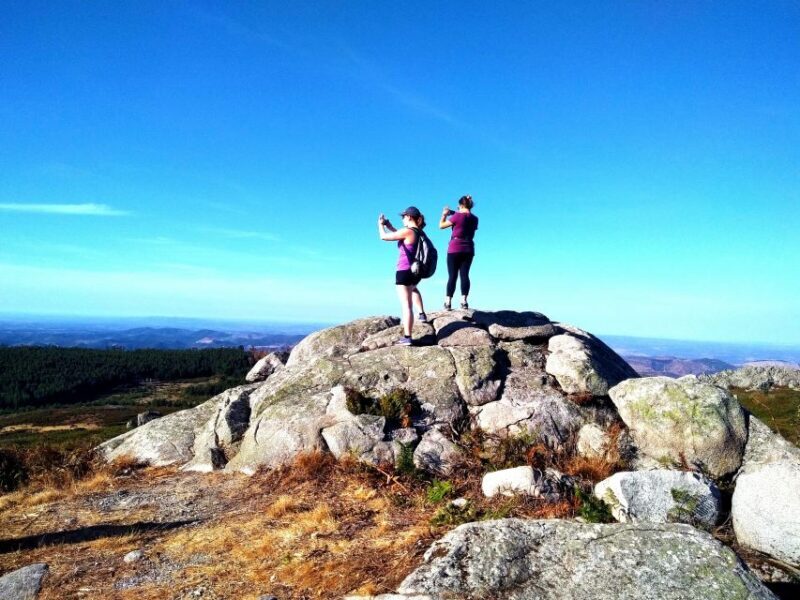 Monchique and Fóia: Half Day Tour - Key Points