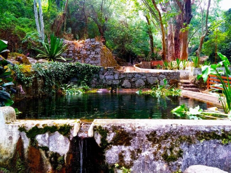 Monchique and Fóia: Half Day Tour - FAQ