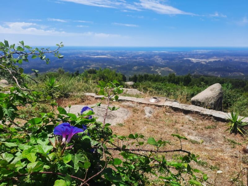 Monchique & Silves: guided day trip - Key Points