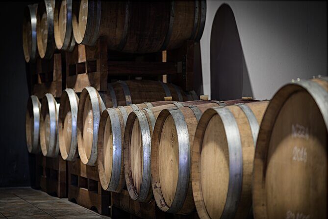 Monferrato (Asti): Wine Tour with light lunch picnic in the vineyards - Exploring the Vineyards and Light Lunch Picnic